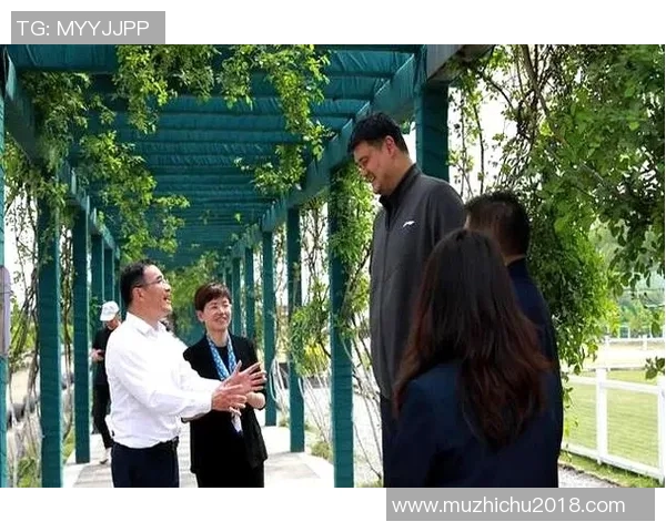 姚明畅游西安探寻历史文化之旅体验古城魅力与美食风情