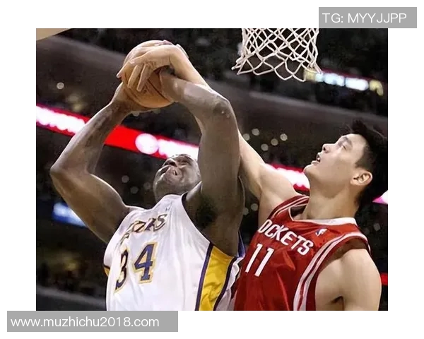 姚明与奥胖的篮球传奇：从赛场到生活的友谊与挑战