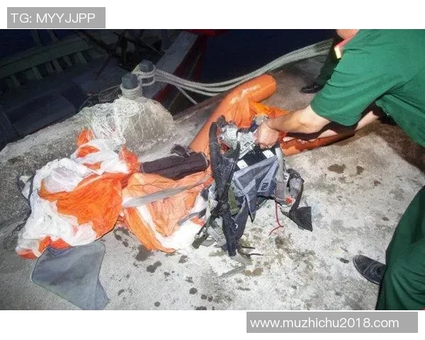 外国飞机失事导致足球明星遇难的悲剧背后故事与影响分析