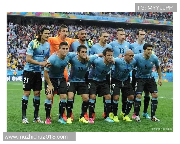 足球明星魅力四射美女纷纷倾心追随展现足球场外的浪漫风采